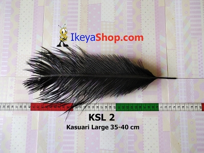 KSL 2  large2